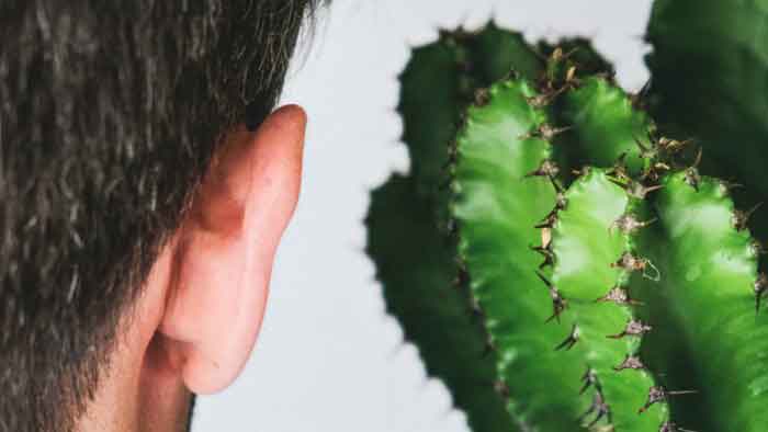 Warten und Lauschen – Loslassen in der Meditation